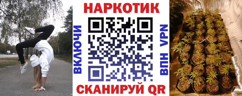 Магазин наркотиков Валуйки Псилоцибиновые грибы  Мефедрон  MEGA зеркало  Alpha-PVP  Бошки Шишки 