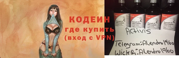 индика Богородицк