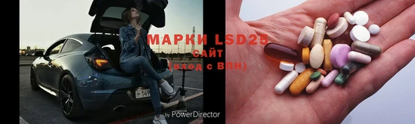 индика Богородицк