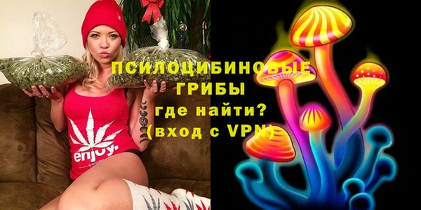бошки Белокуриха