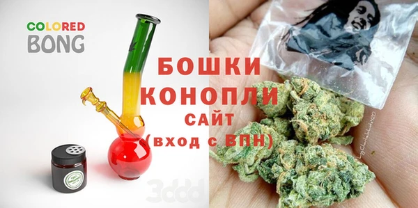 индика Богородицк