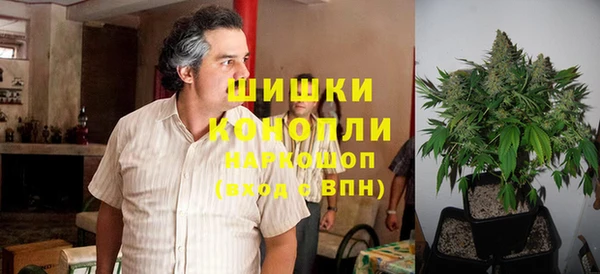 бошки Белокуриха