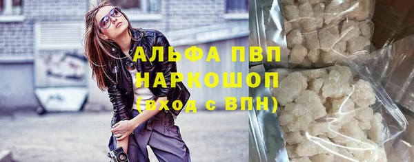 индика Богородицк