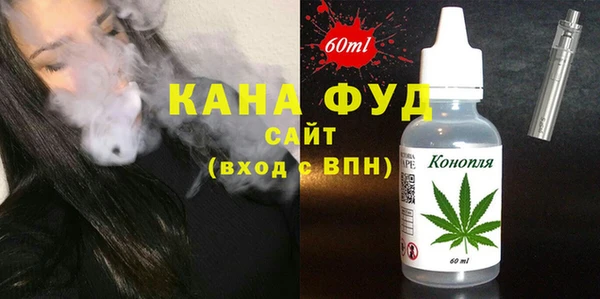 индика Богородицк